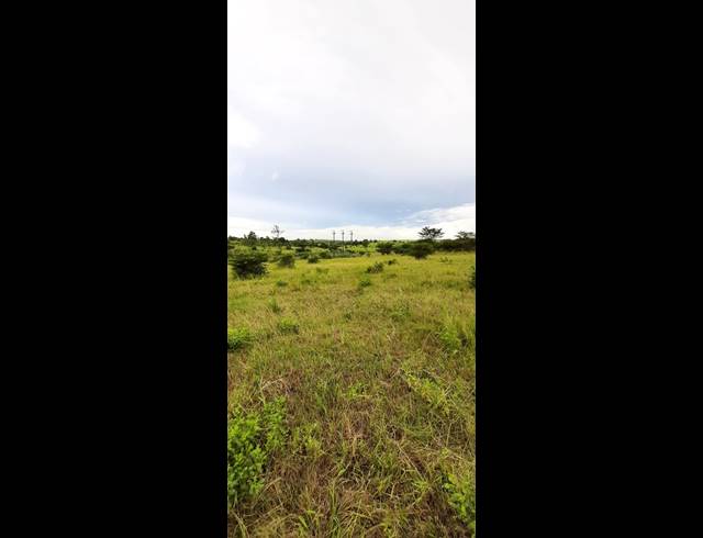 2.20HA SMALLHOLDING FOR SALE IN POLOKWANE RURAL